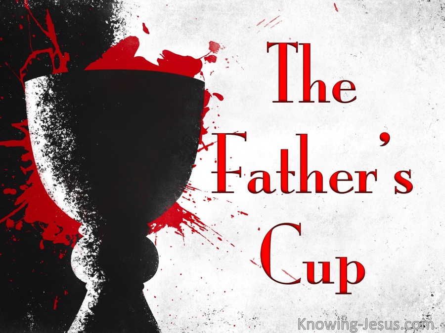 The Father's Cup (devotional)02-23 (red)